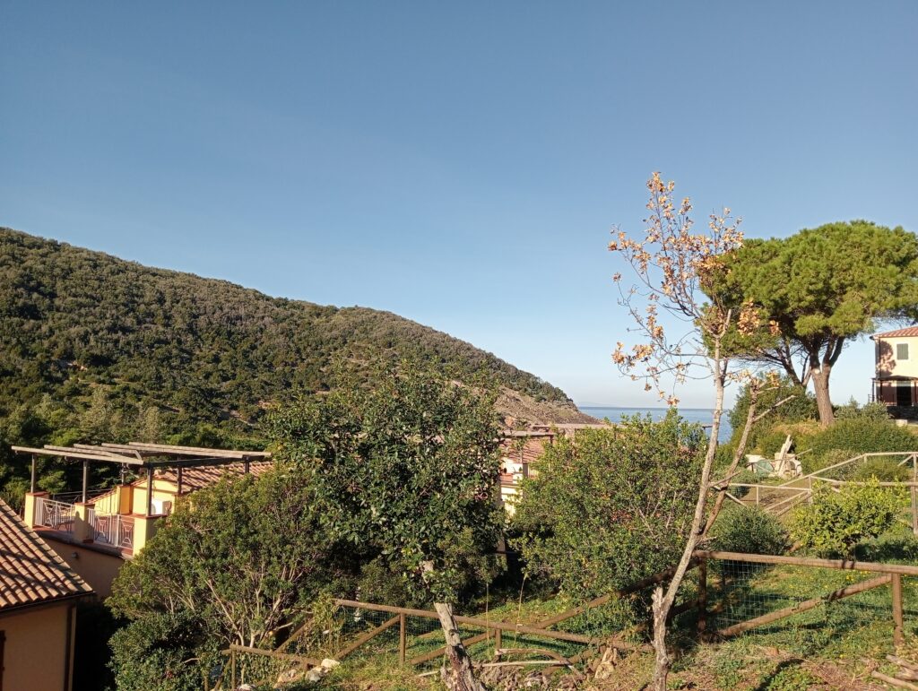 Elba-IMG20231118095618